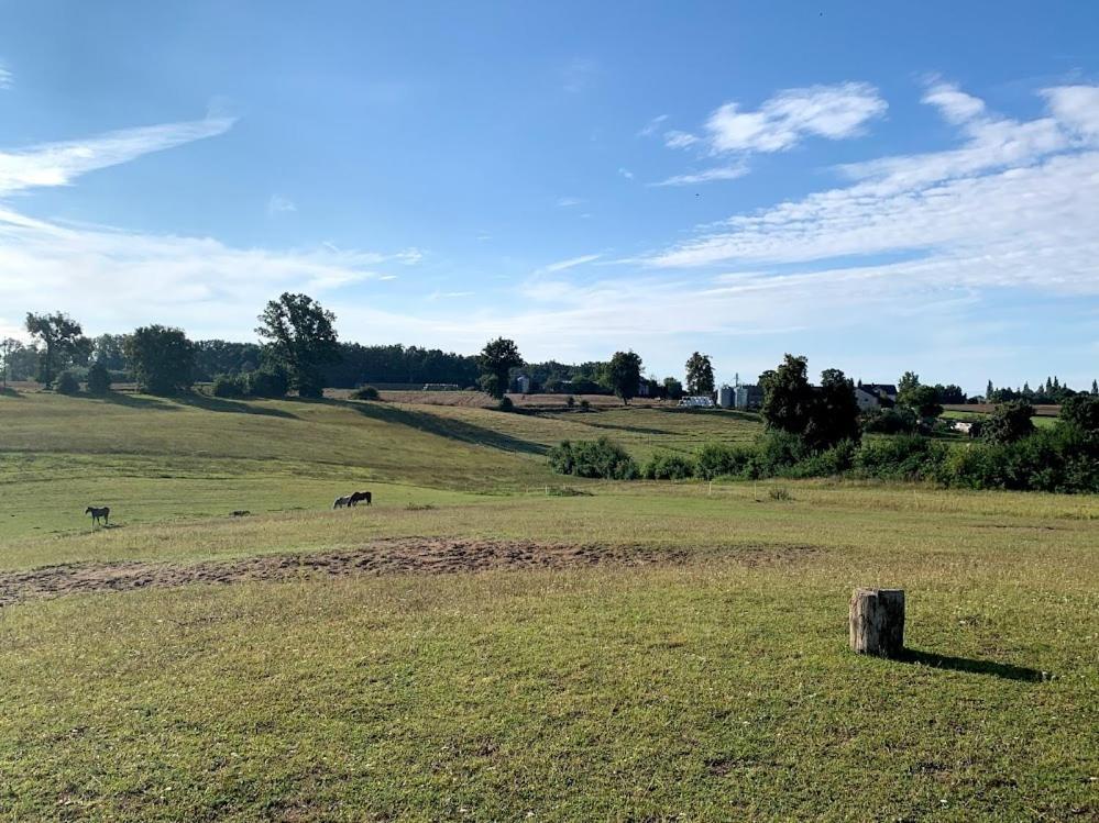 Toskania Kociewska Nowe Kültér fotó